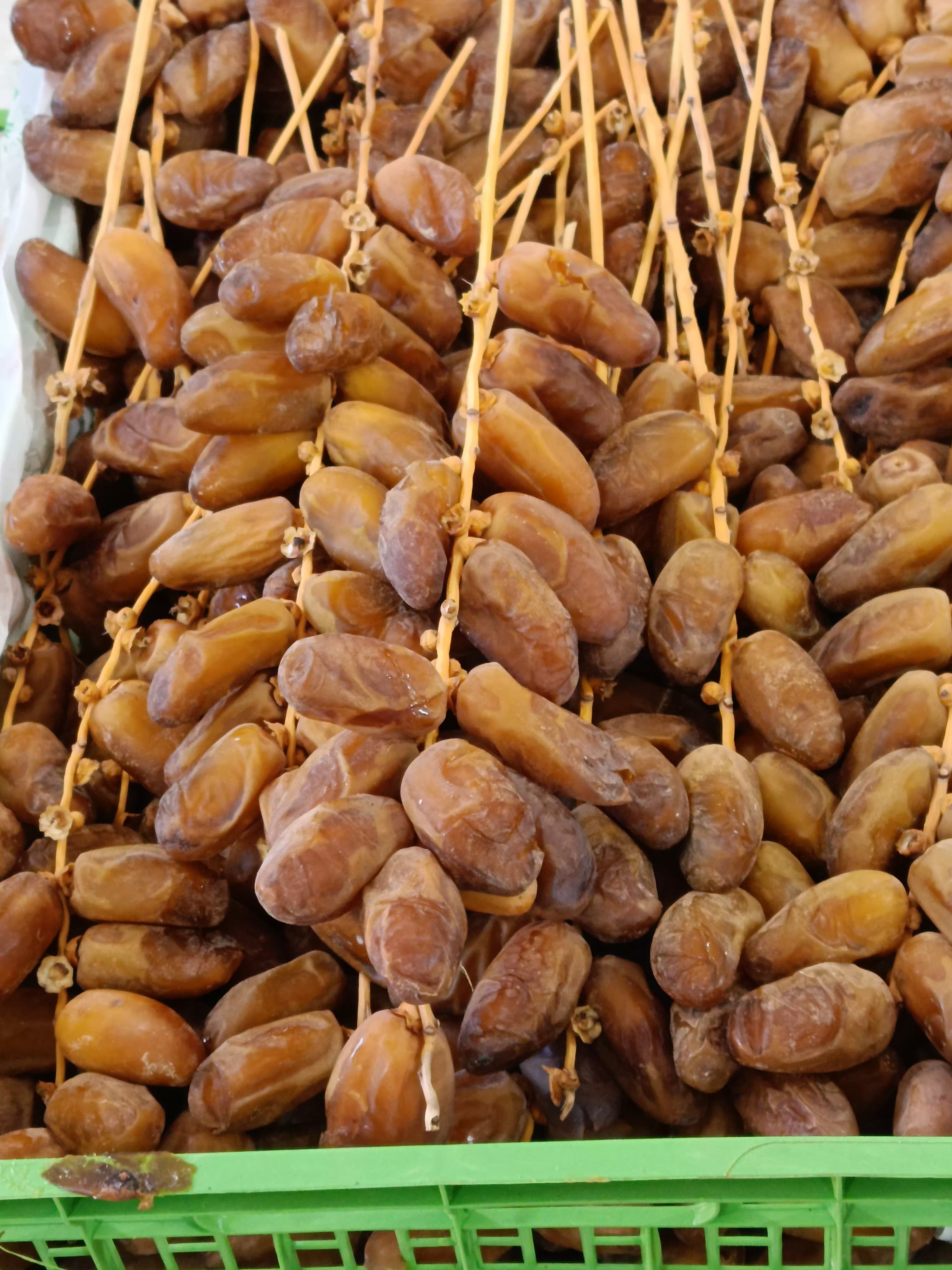 سبلة جودة ممتازة