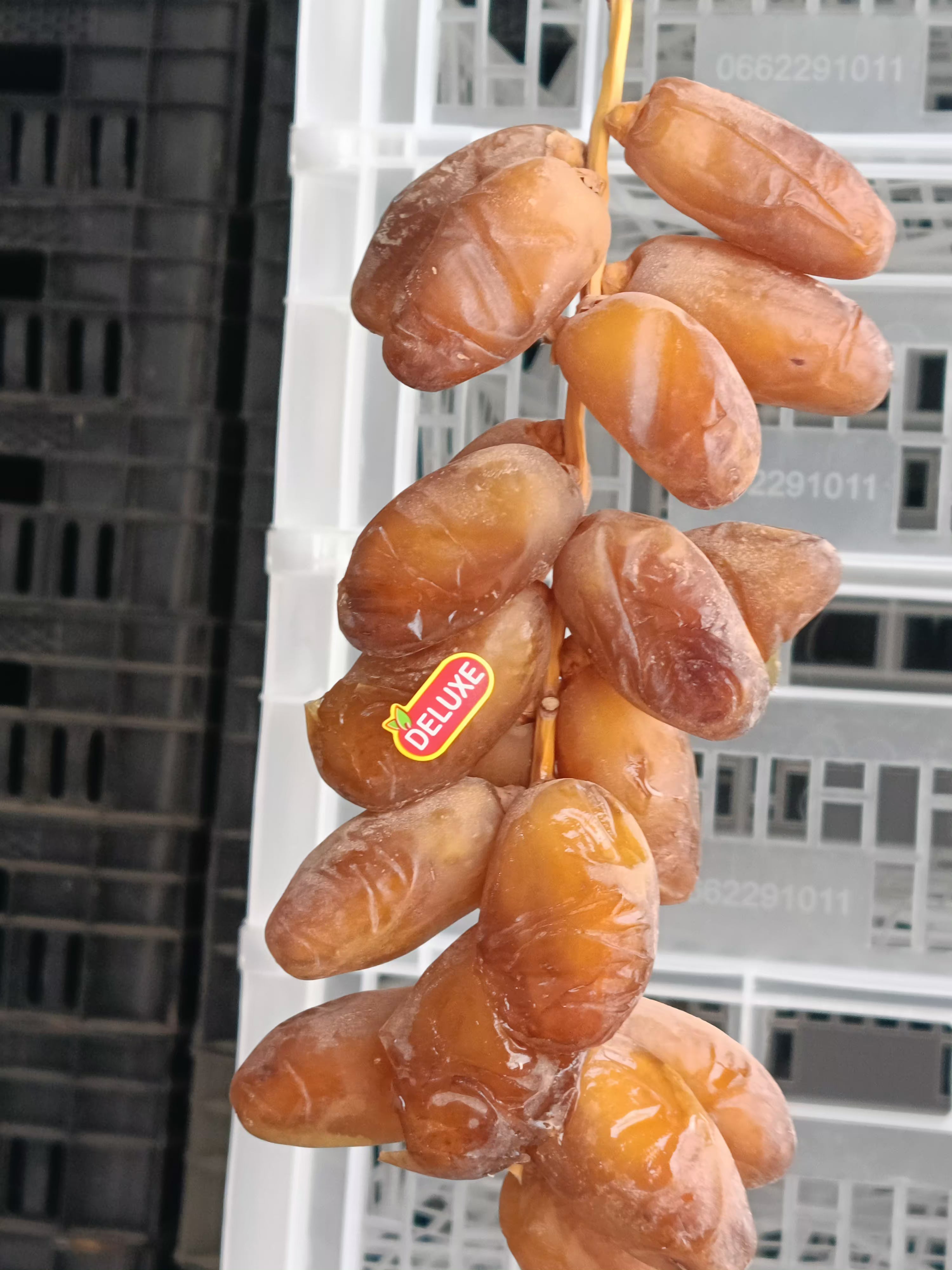 شمروخ درجة أولى