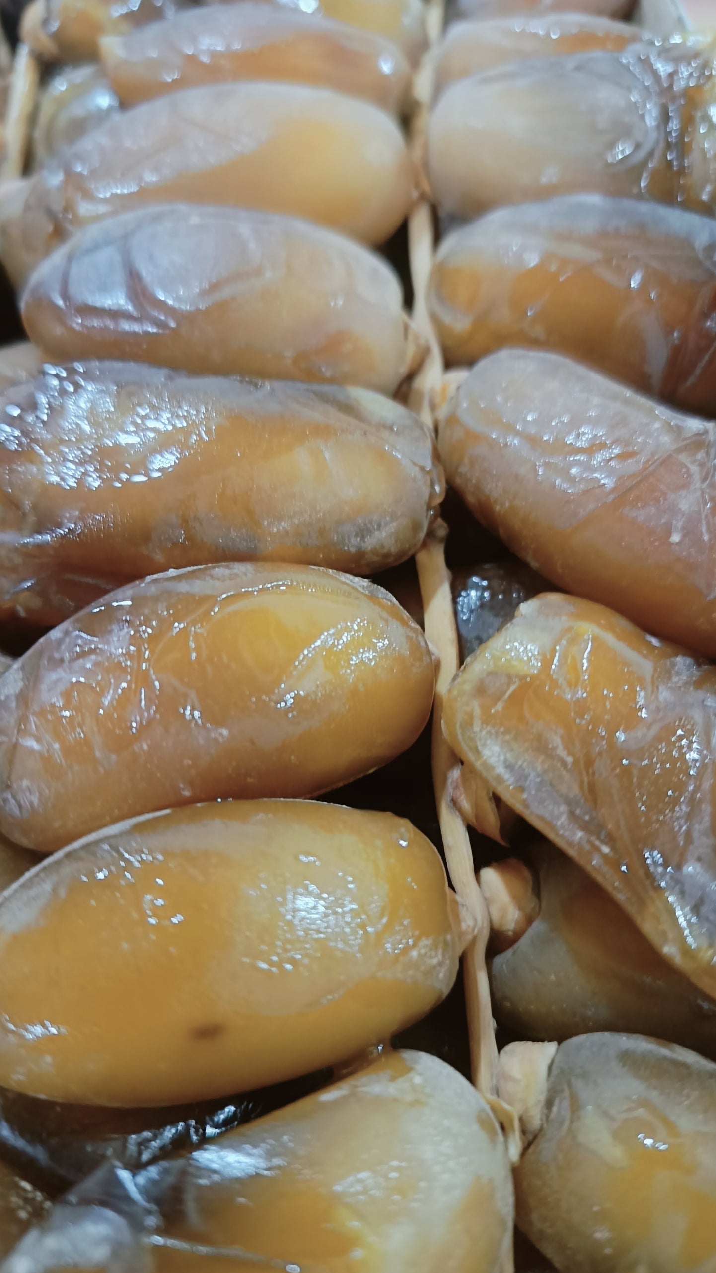 علبة  500 غ