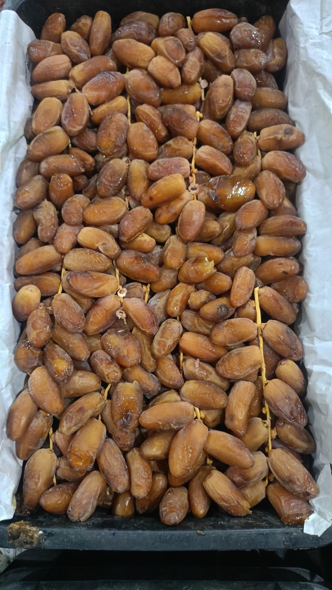 شمروخ درجة أولى