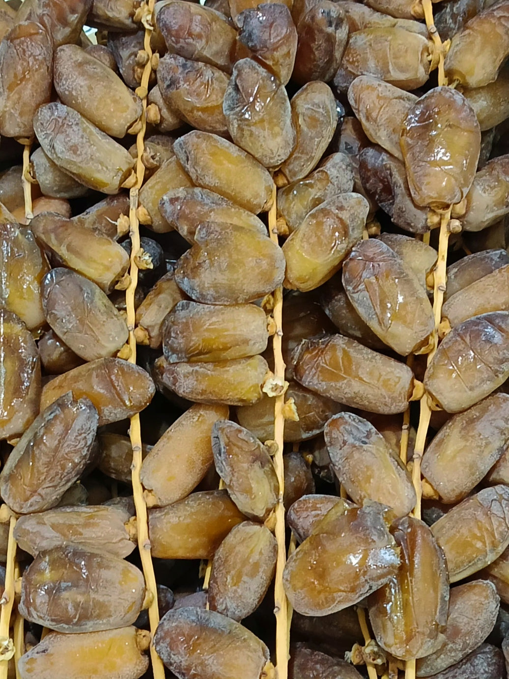 سبلة جودة ممتازة