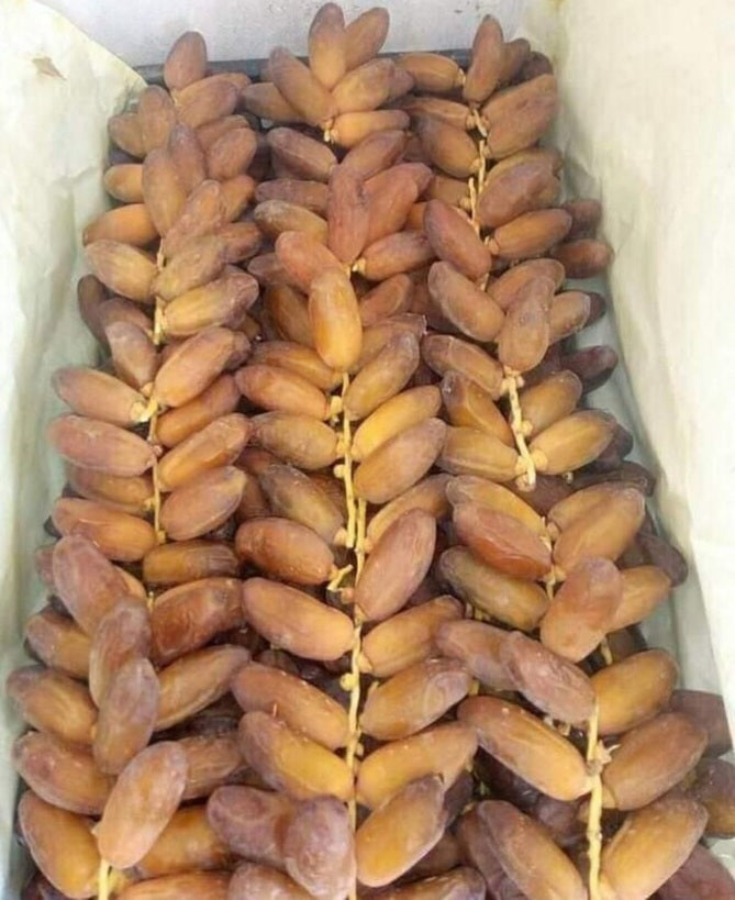 شمروخ درجة أولى