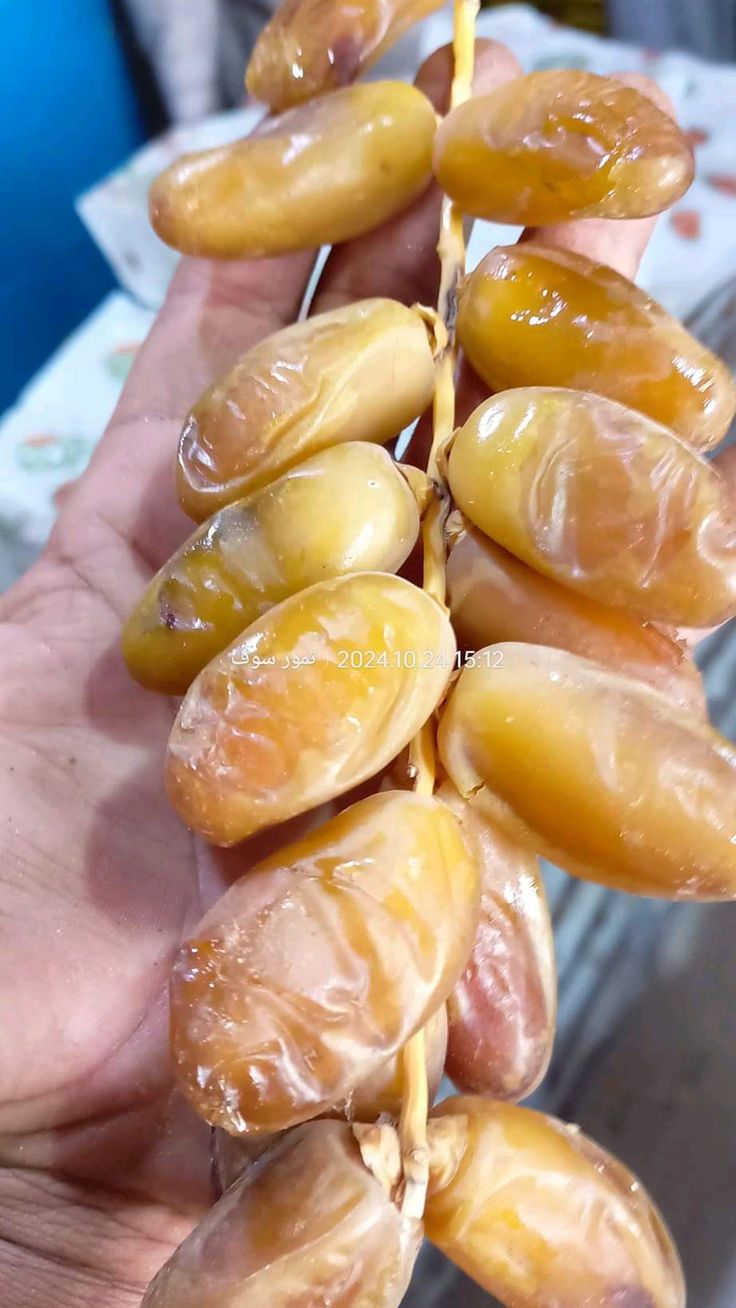 شمروخ نوعية ممتازة