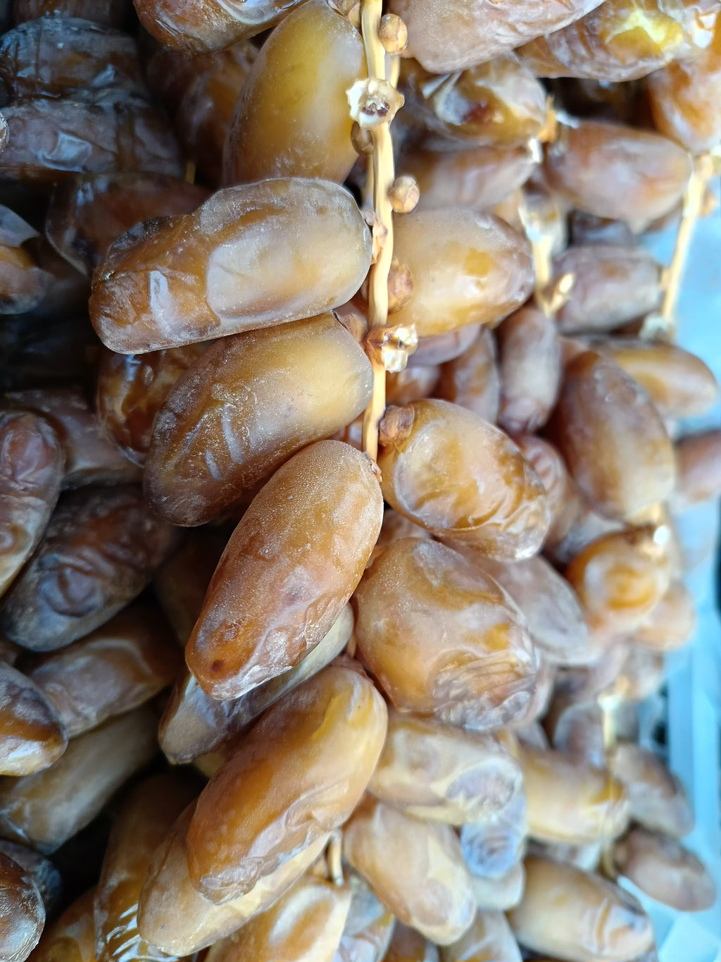 شمروخ درجة أولى