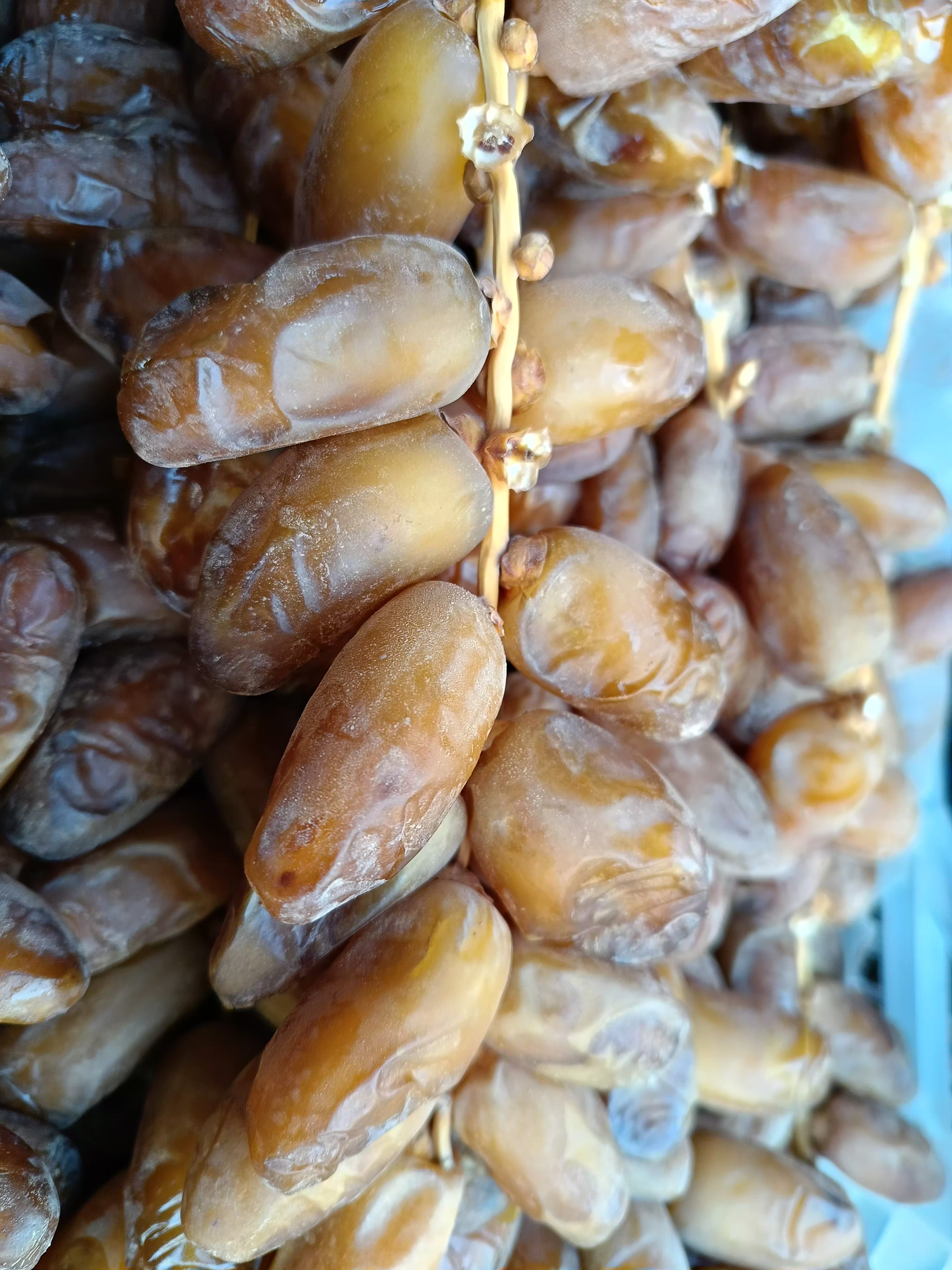 شمروخ درجة أولى