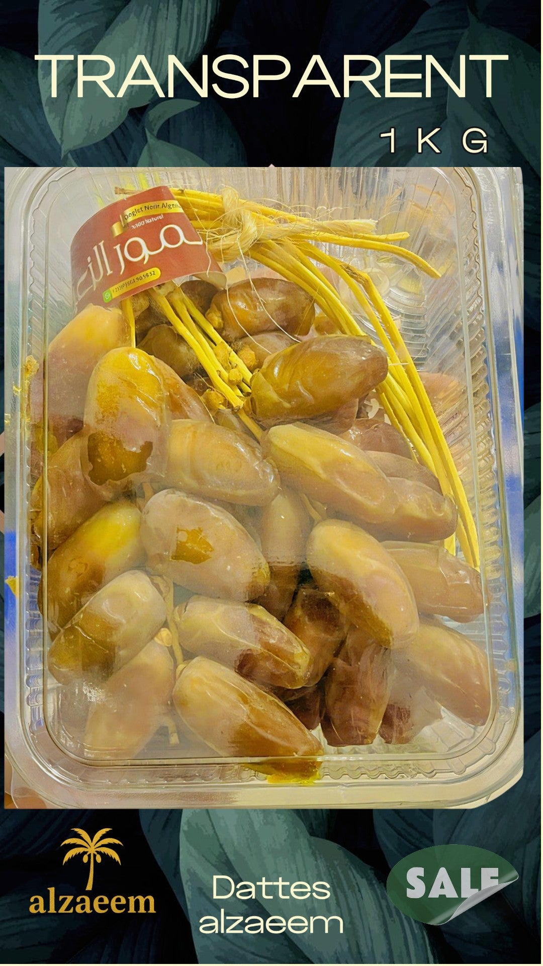 علبة طرونصبارو